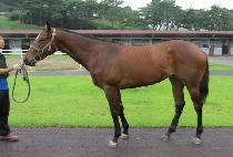 �̽����� (MISS SEMYEONG) ����