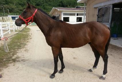 �������� ����