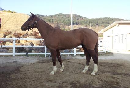 ����ũ�� ����