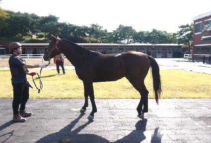 �������� ����