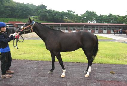 �Ϳ�� ����