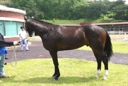 ��ǳ ����