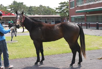 ��� ����