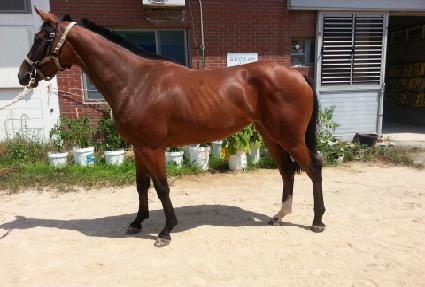 �̽����� ����