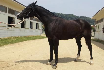 ���ο��� ����