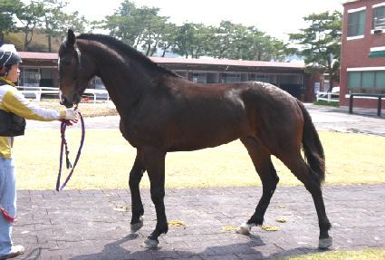 ������� ����