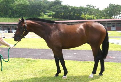 �ϱ��õ ����