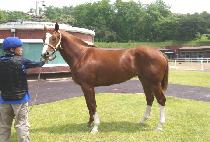 �������� (BOHYEON BOSAL) ����