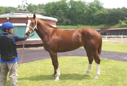 �������� ����