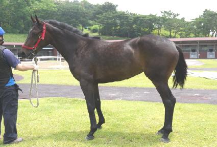 �����Ŀ� ����