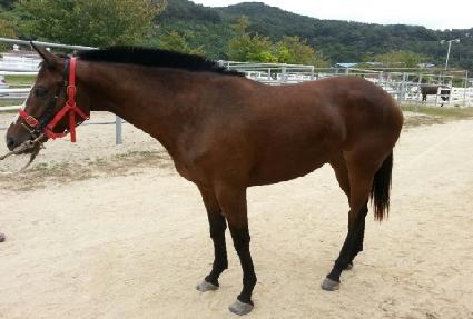 ��ٳ��̽� ����