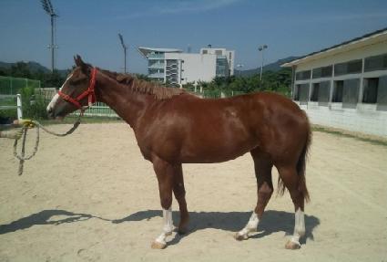 ���� ����