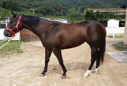 ��ī�� ����