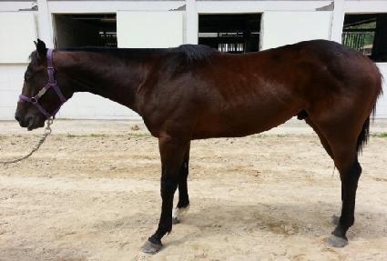 �۷ι���ȣ ����