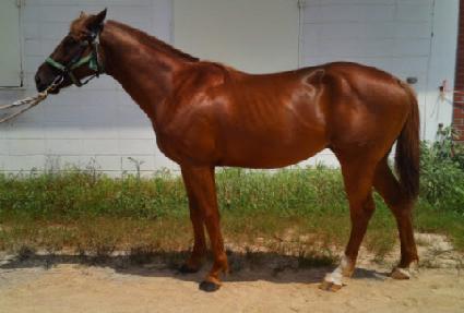 ��Ʈ����� ����