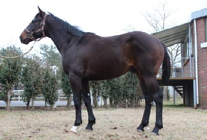 �����ڸ� ����