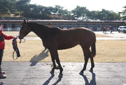 ���۷�Ű ����