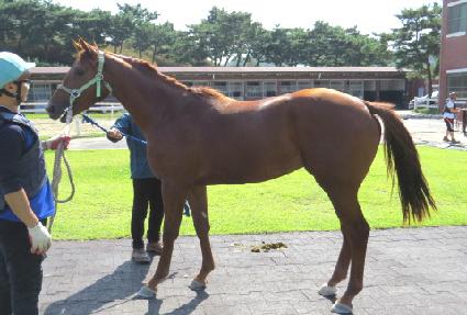 ���̽�Ȧ�� ����