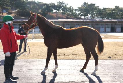 ������ ����