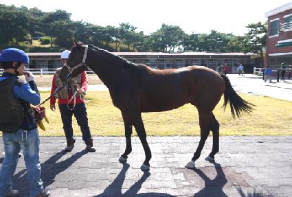 ��ġ��� ����