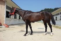 ����ĸƾ (REALLY CAPTAIN) ����