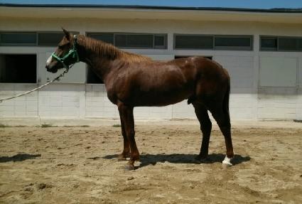 �������� ����