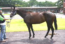 ���յ��� (YEOWANG DEUNGJANG) ����