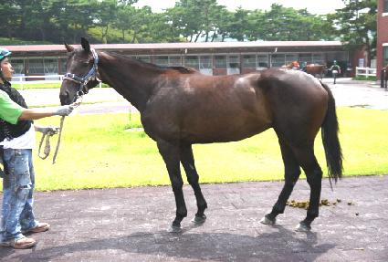 ���յ��� ����