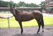 Į�� (KALI) ����