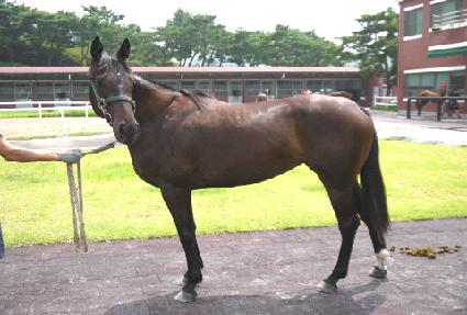 Į�� ����