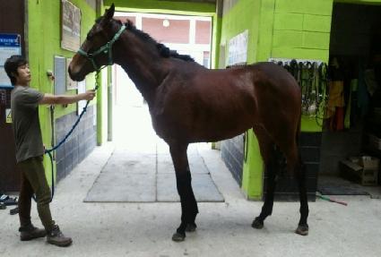 �̵���� ����