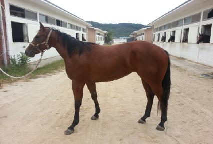 ����Ʈȣũ ����