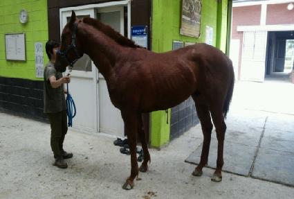 ����� ����