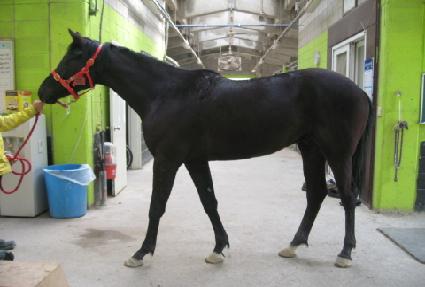 Ŭ������ ����