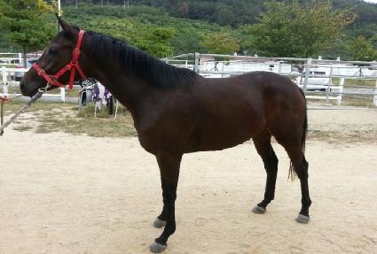 �ż����ȭ ����