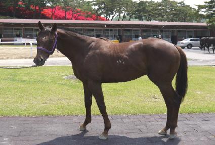 ���۵巡�� ����