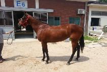 ���� (UP UP) ����