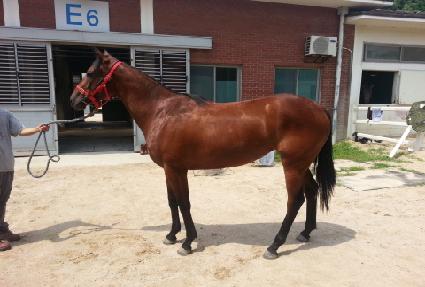 ���� ����