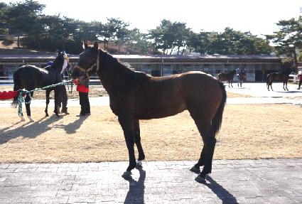 ��� ����