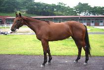 ǳ�� (PUNGGWAE) ����