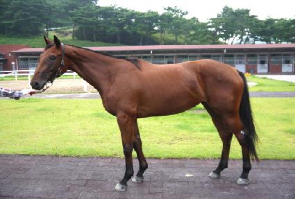 ǳ�� ����