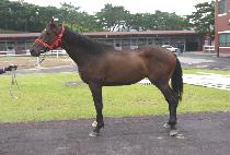 ��ǳ�Դ� (JILPUNG HAMDAE) ����