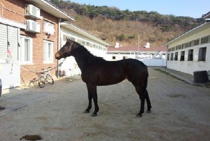 ��׸��� ����