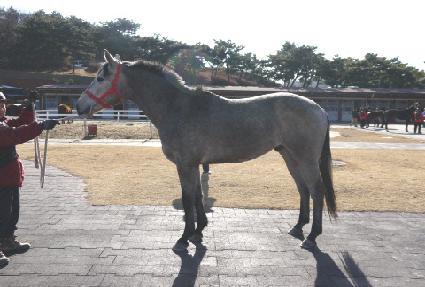 ����ũ�� ����