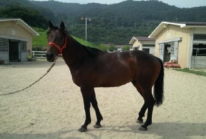 ����è�� ����