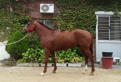 ��ٸ���� ����