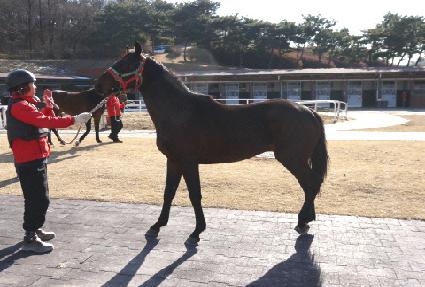 ȣ������ ����