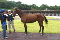 �������� (SAMJEONG GONGJU) ����