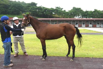 �������� ����