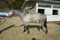 ����Ű (MANNEUNG KEY) ����